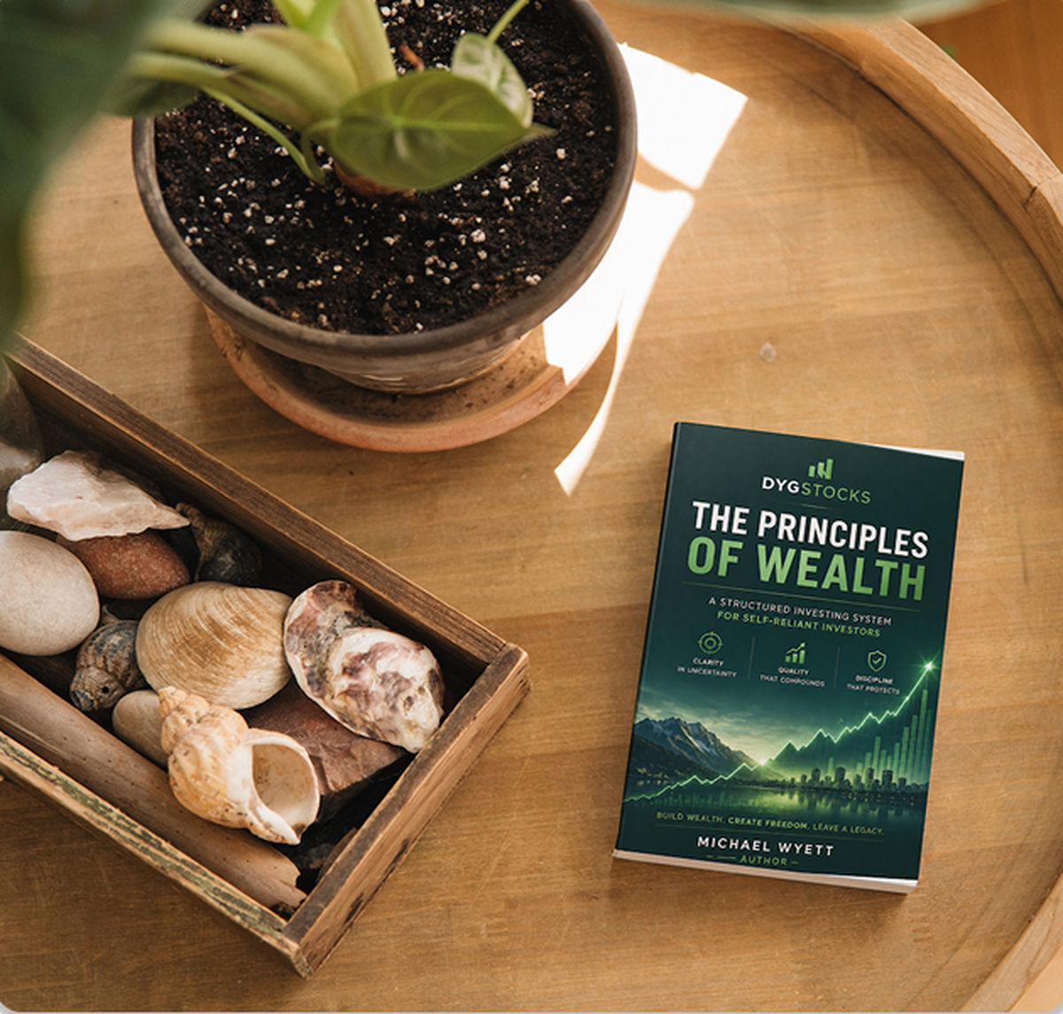 Softcover of The Principles of Wealth by Michael Wyett on a wooden table